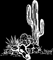 Cactus clip-art